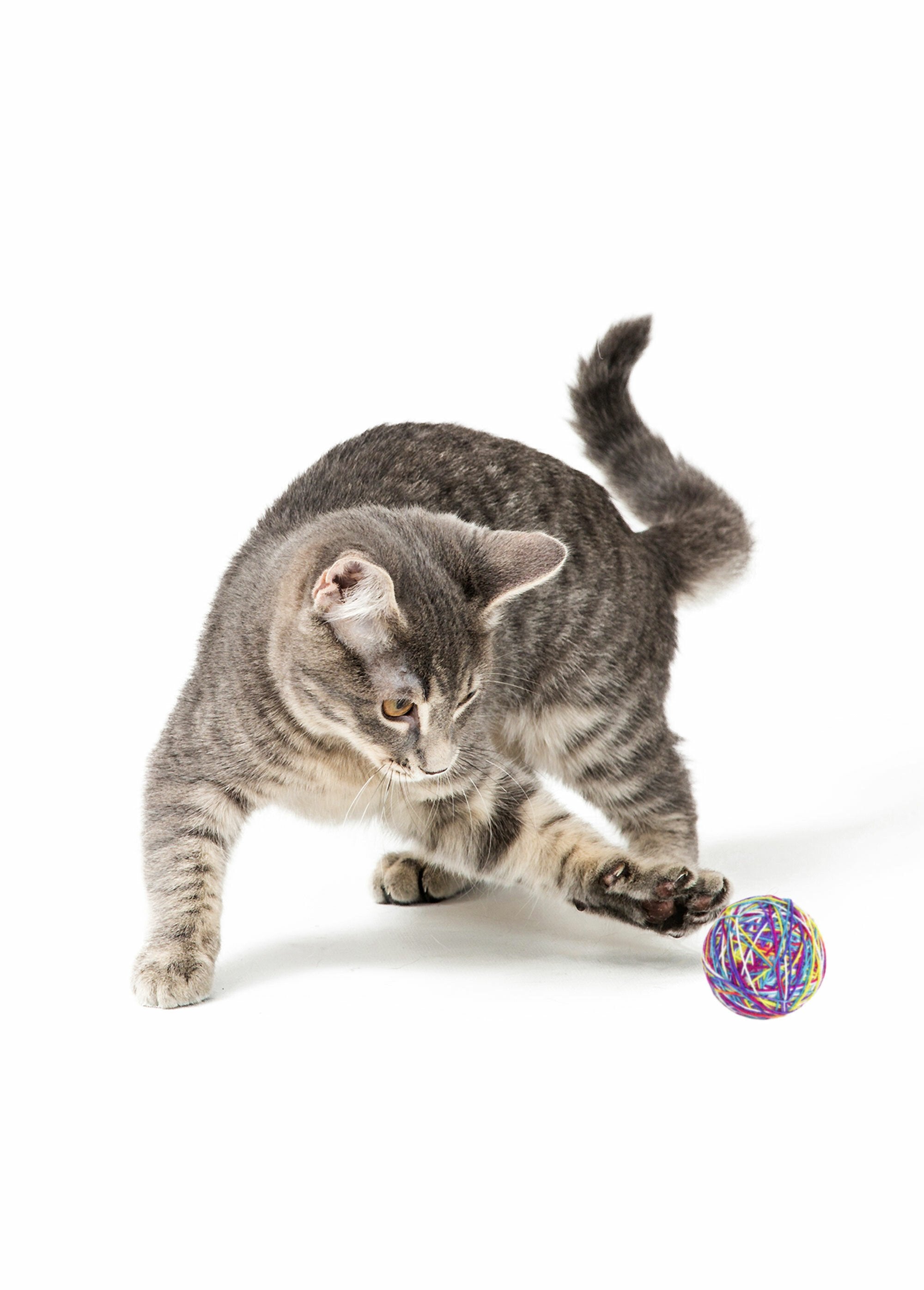 Giocattolo_con_palline_di_lana_per_gatti_Violet_DE1_slim