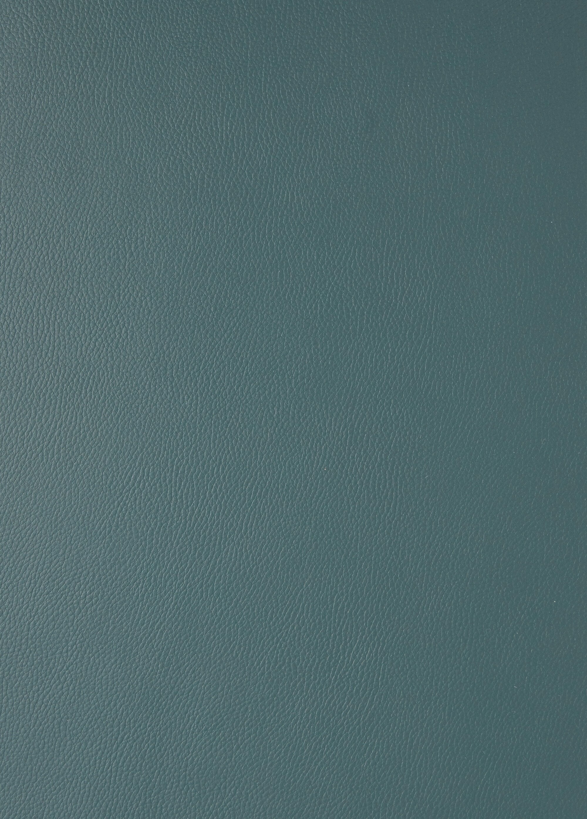 Tagliando_in_ecopelle_liscia_Sapin_DE1_slim