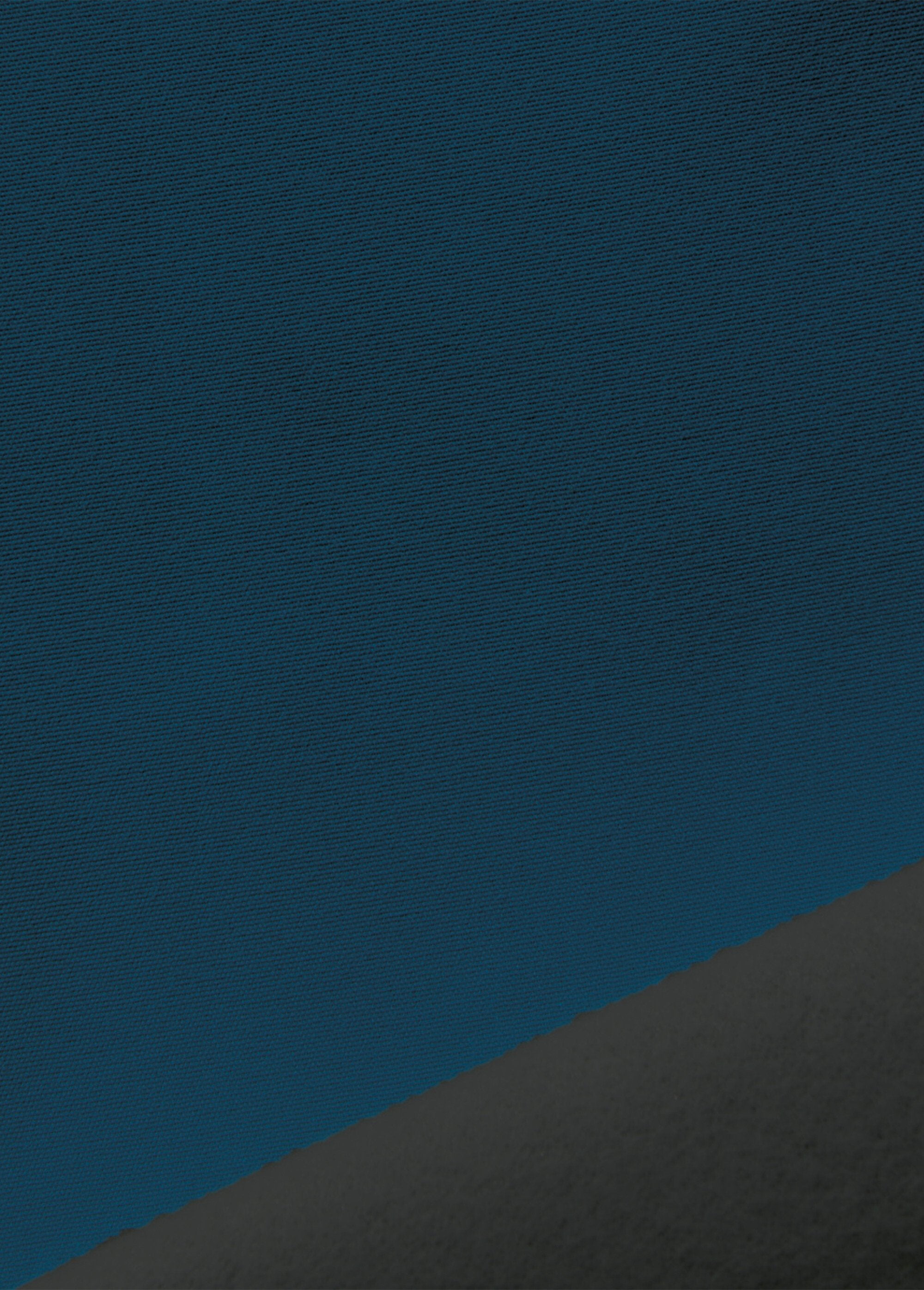 Tenda_altamente_oscurante_e_isolante_con_occhielli_Bleu_paon_DE1_slim