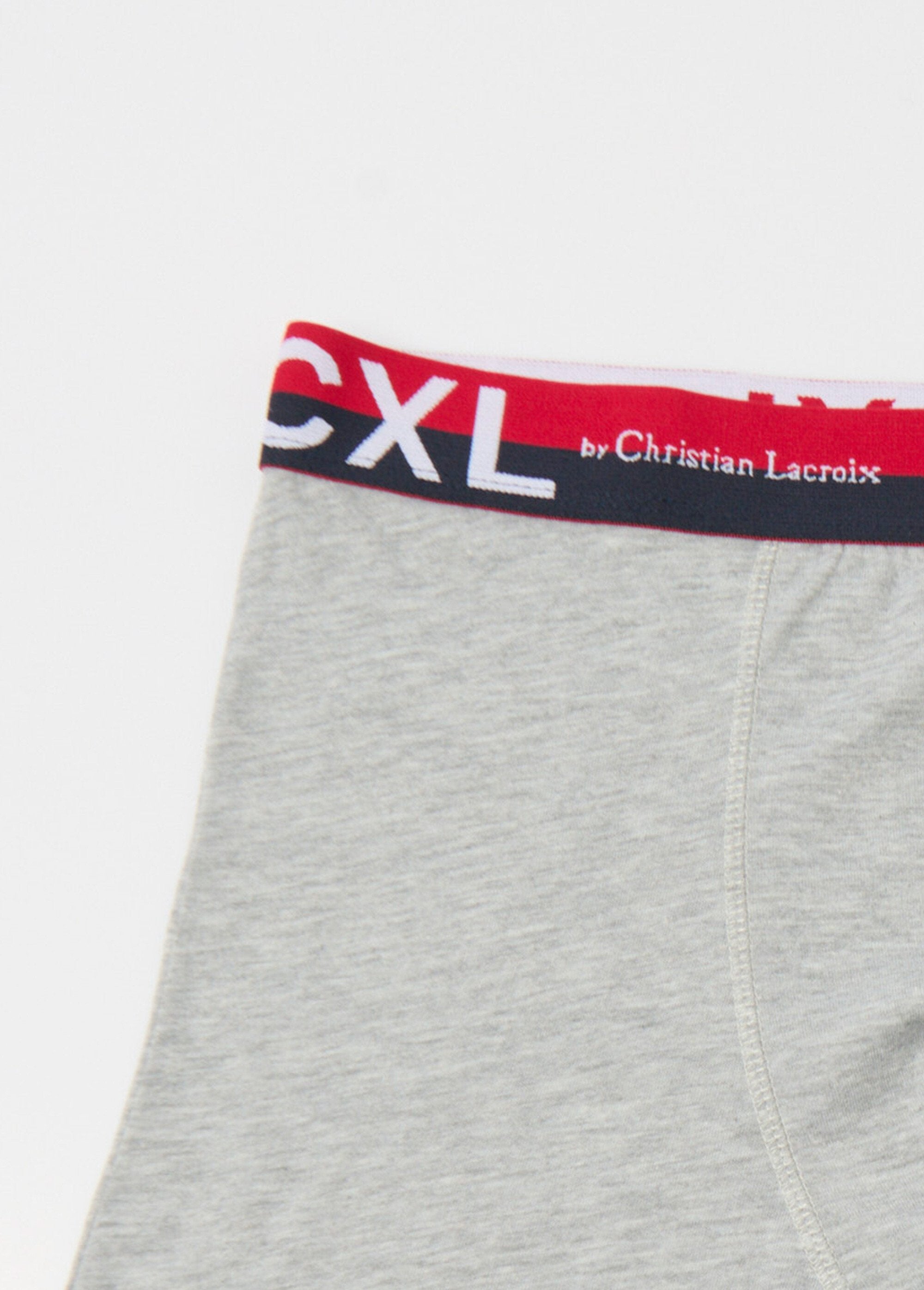 Confezione_da_4_boxer_in_tinta_unita_con_logo_in_vita_Gris_clair_DE1_slim