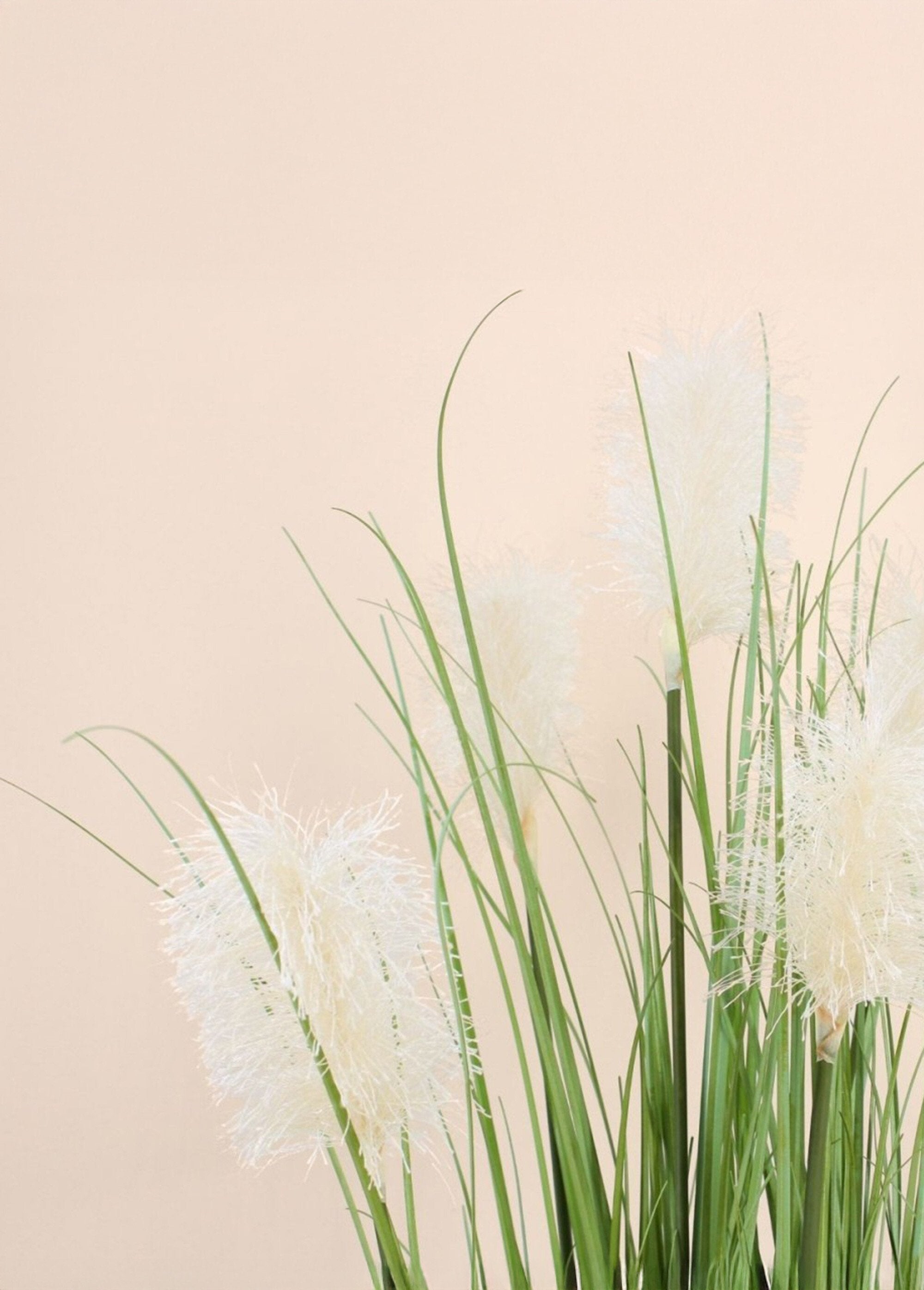 Pianta_artificiale_Erba_della_Pampa_Noir_DE1_slim