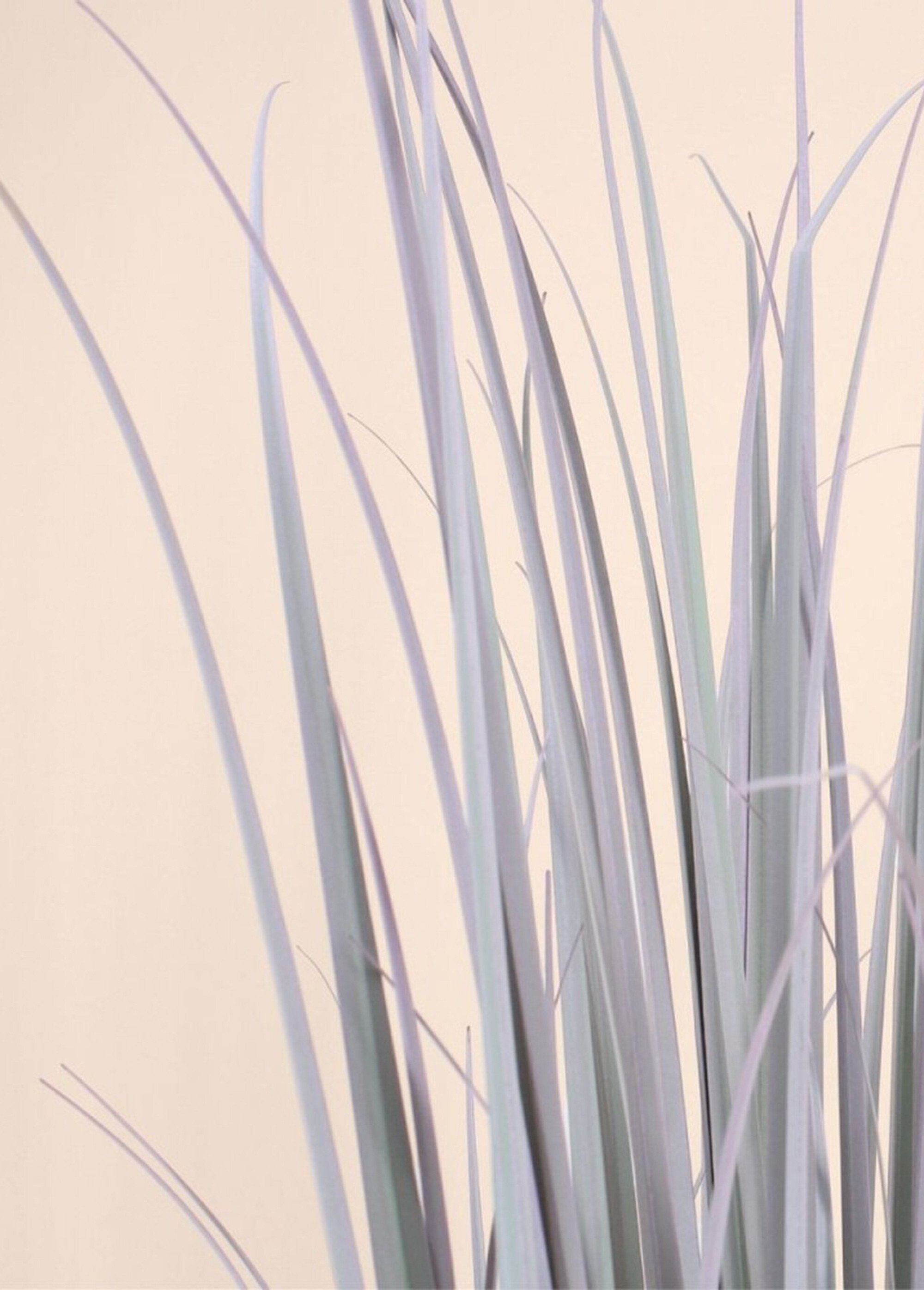 Pianta_artificiale_Phormium_faggot_style_Vert_DE2_slim