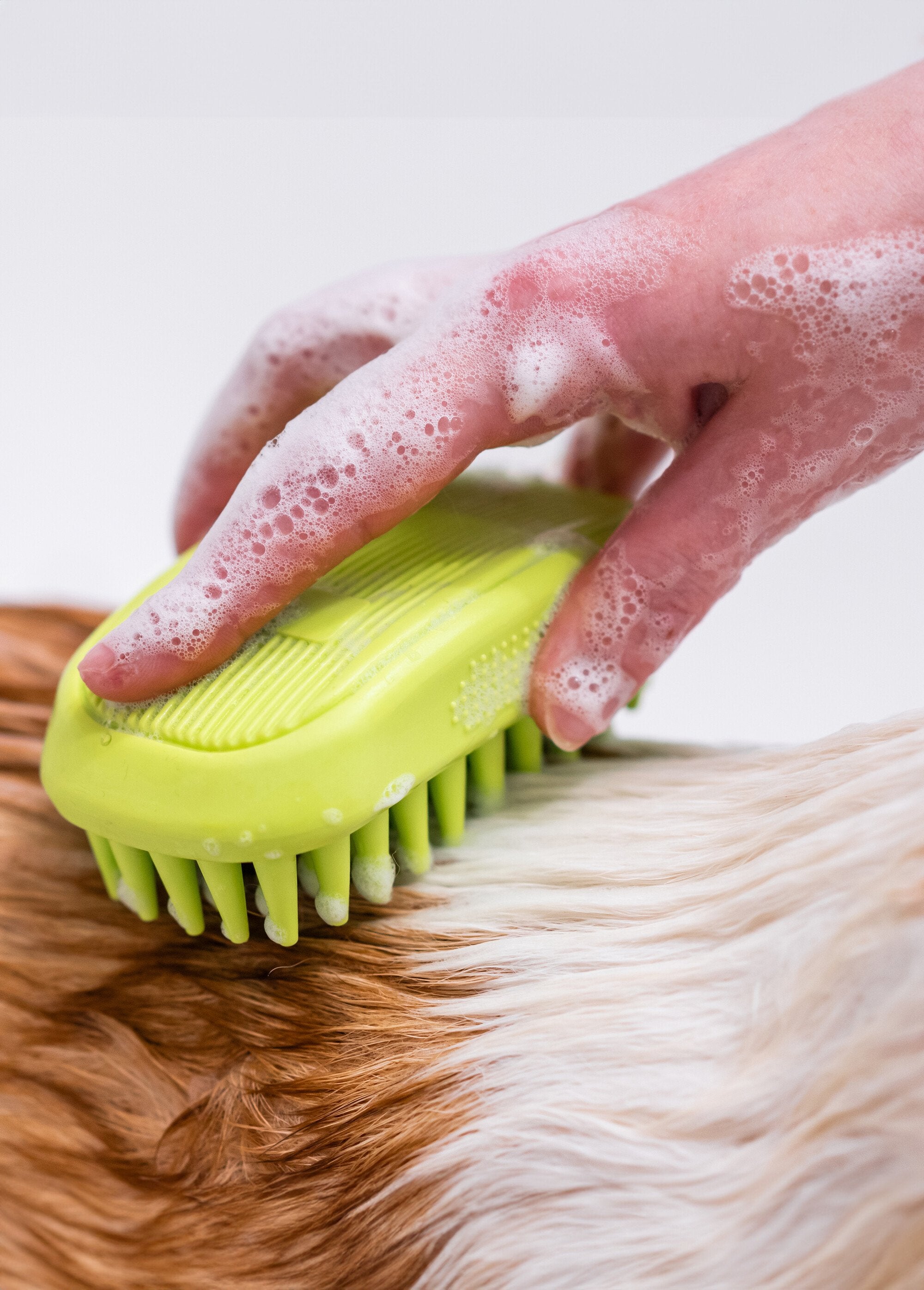 Shampoo_districante_per_cani_Blanc_DE1_slim