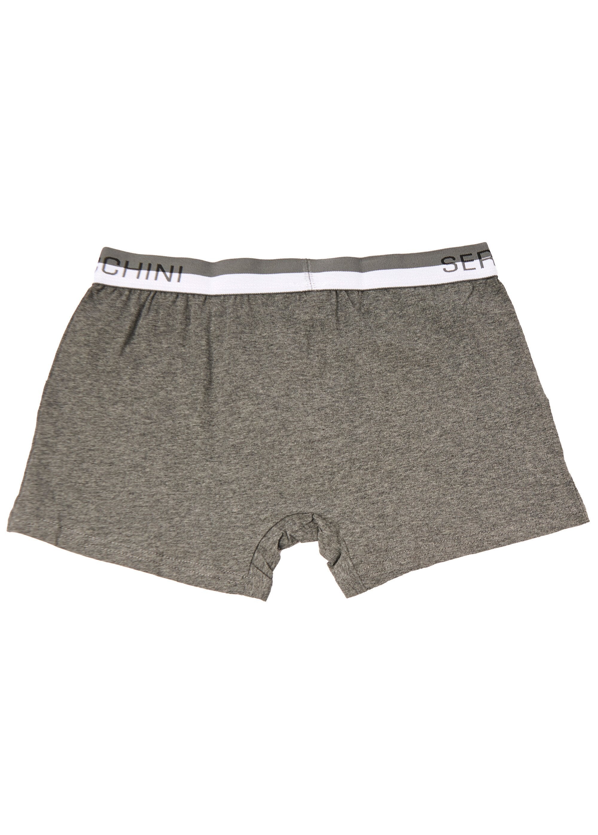 Boxer_tinta_unita_con_cintura_e_logo_Gris_DO1_slim