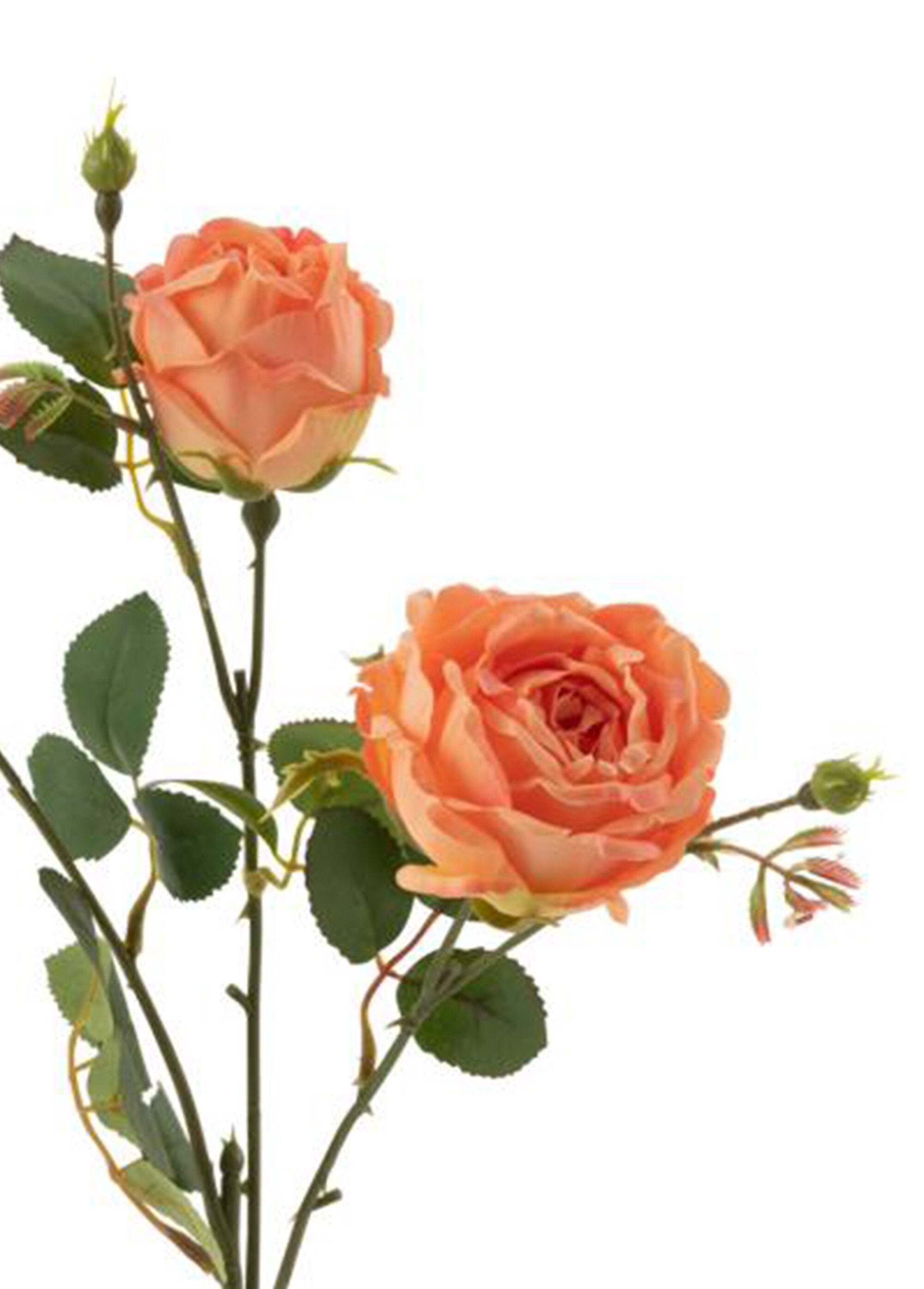 Rose_in_tessuto_con_gambo_e_foglie_Orange_DE1_slim