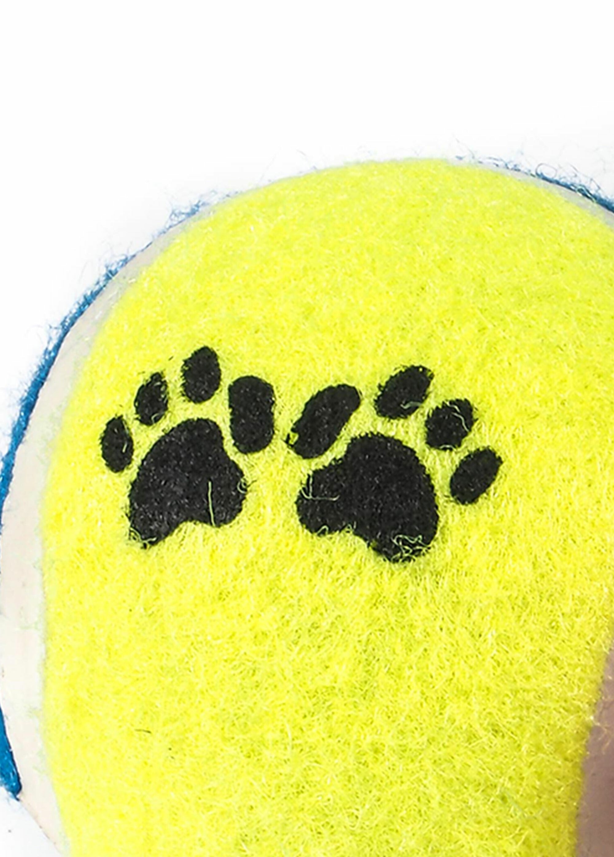 Lot_de_3_jouets_balles_tennis_pour_chien_Jaune_DE1_slim