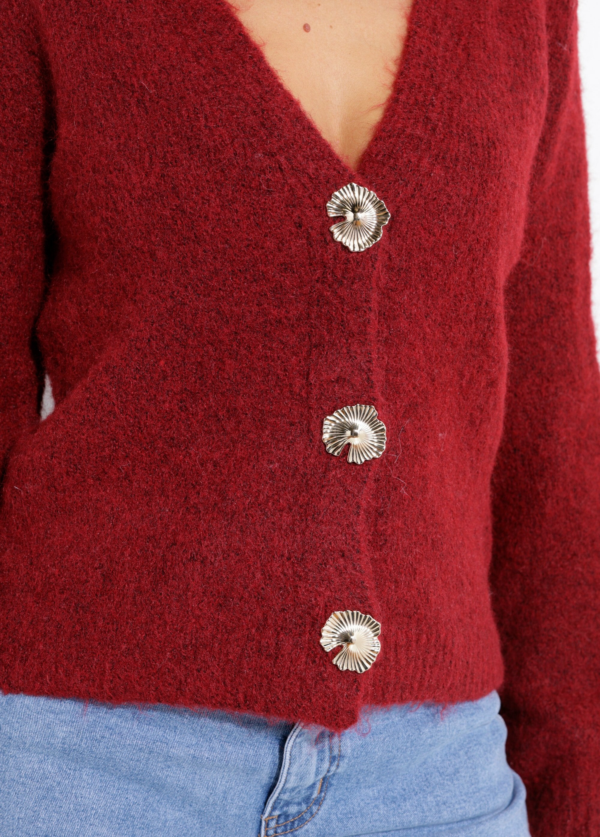 Cardigan_in_morbida_maglia_con_bottoni_gioiello_Bordeaux_DE2_slim