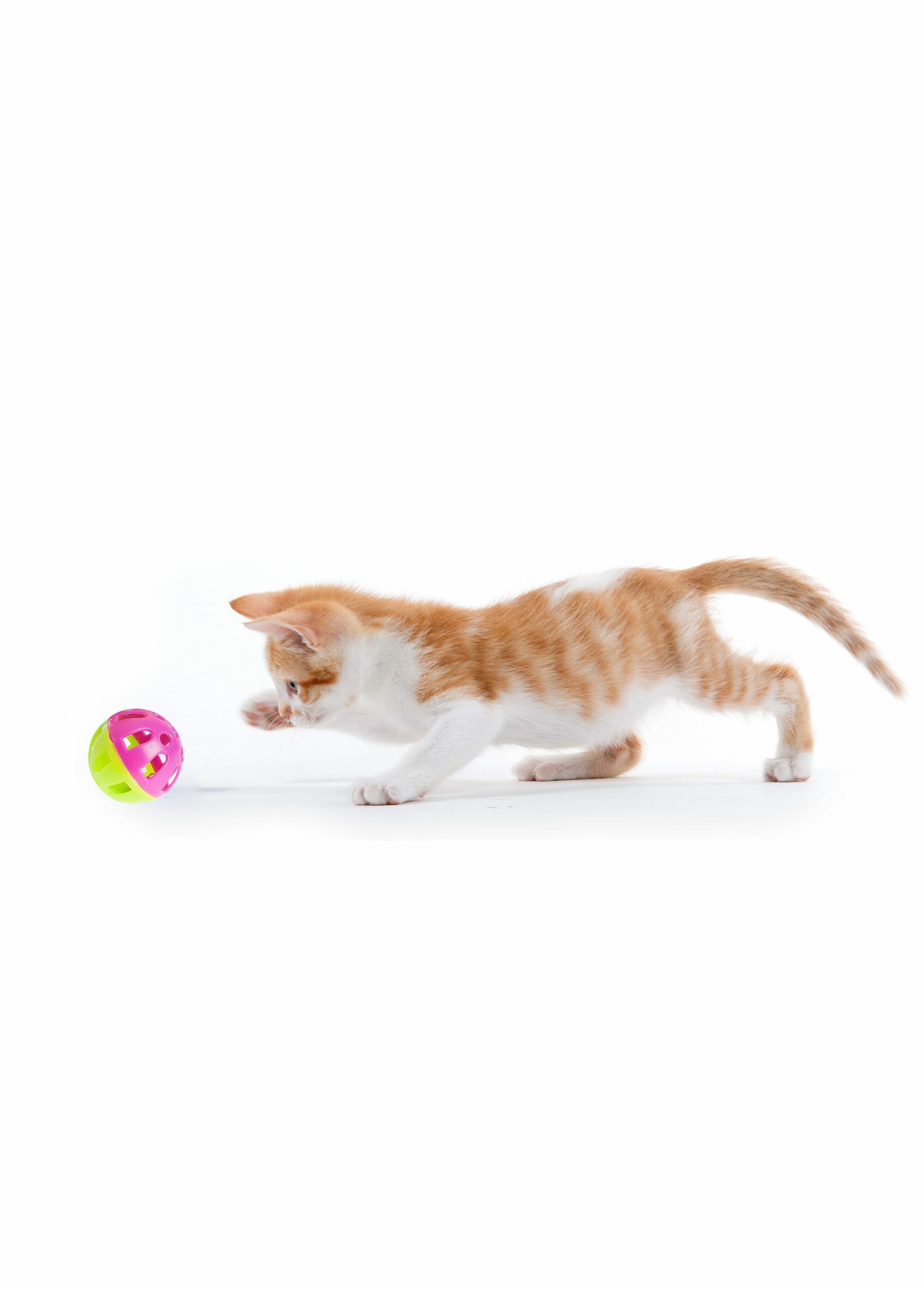 Lot_de_4_balles_jouets_grelot_pour_chat_Vert_DE1_slim