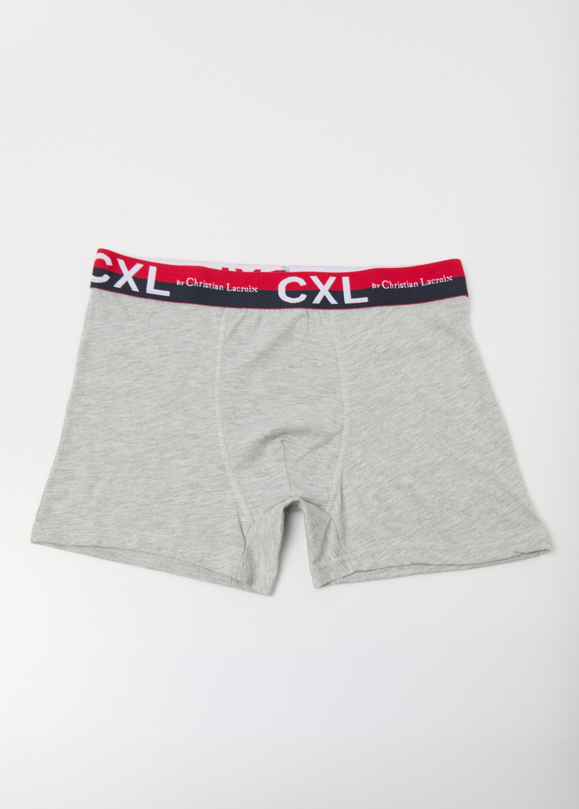 Confezione_da_4_boxer_in_tinta_unita_con_logo_in_vita_Gris_clair_FA1_slim