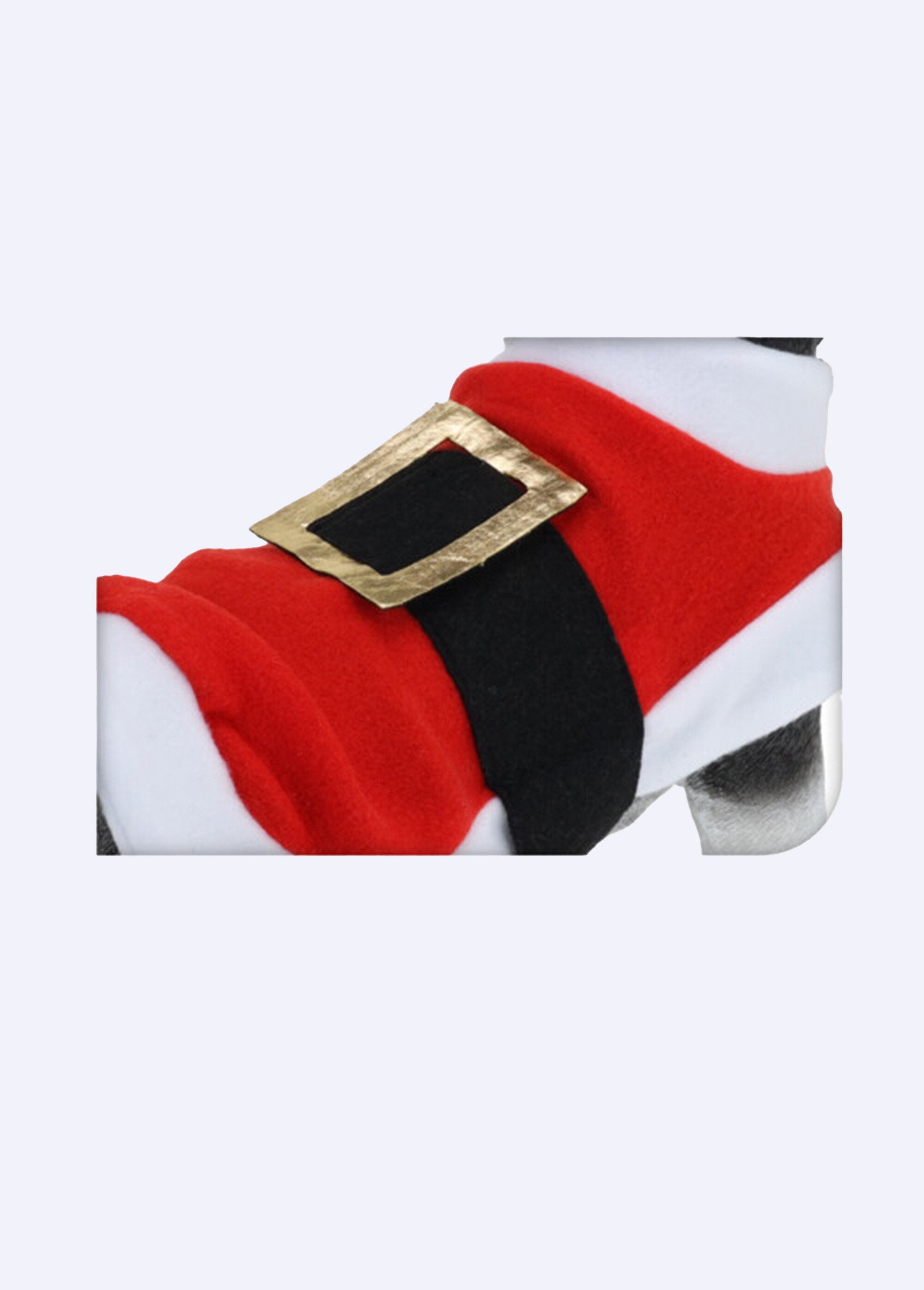 Manteau_fun_pour_chien_thème_Père_Noël_Rouge_DE1_slim