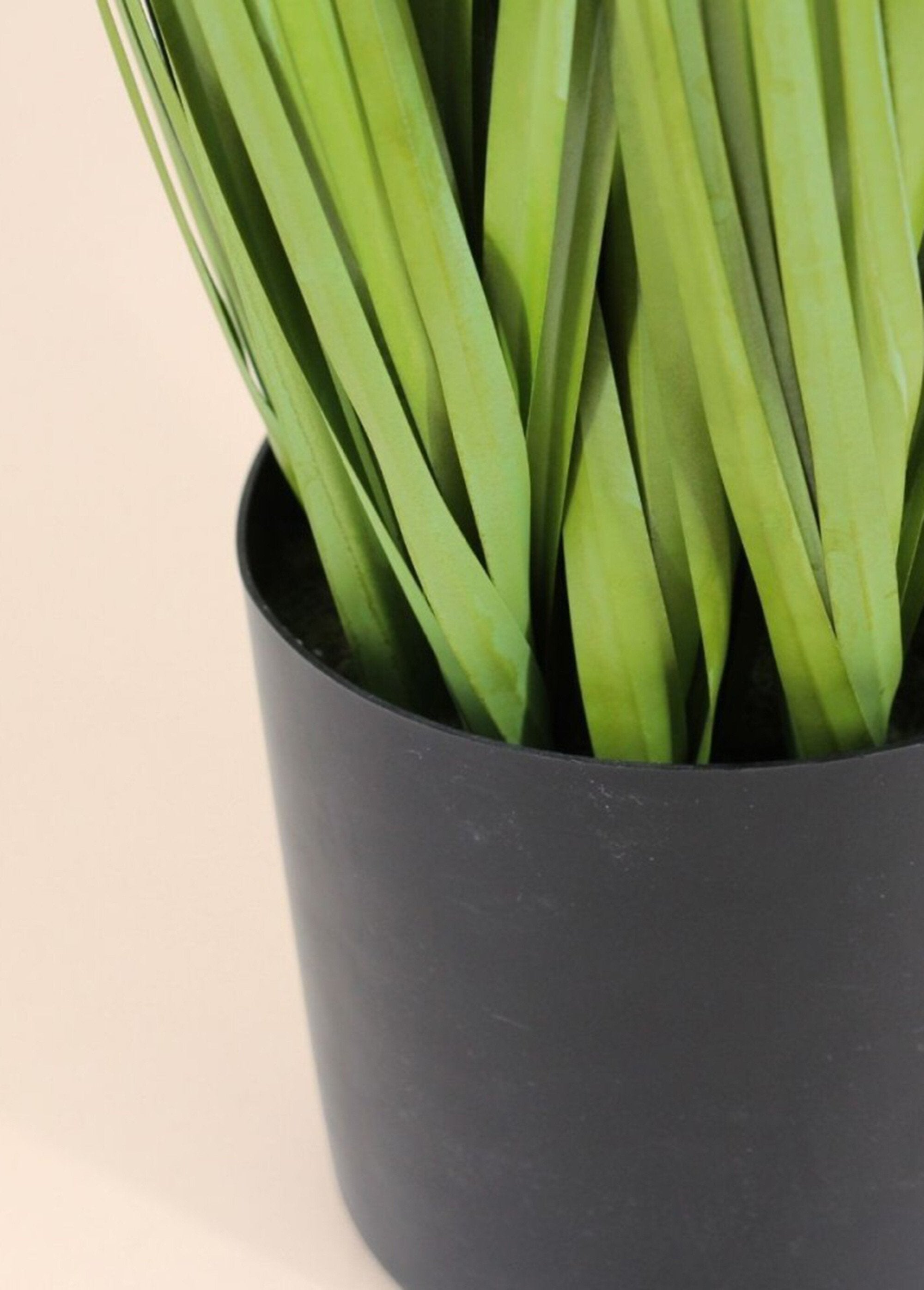 Pianta_artificiale_Erba_della_Pampa_Noir_DE2_slim