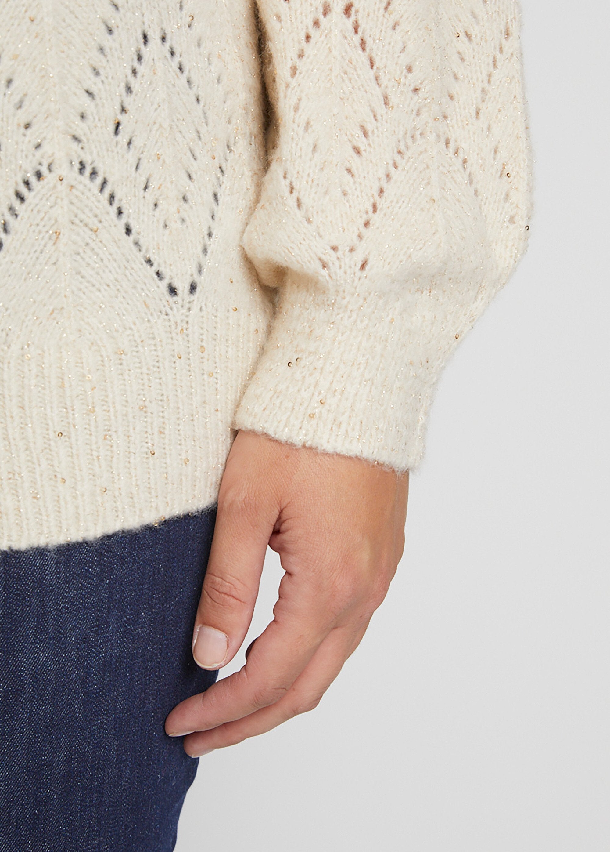 Scintillante_maglione_traforato_con_scollo_rotondo_Sable_DE2_curvy