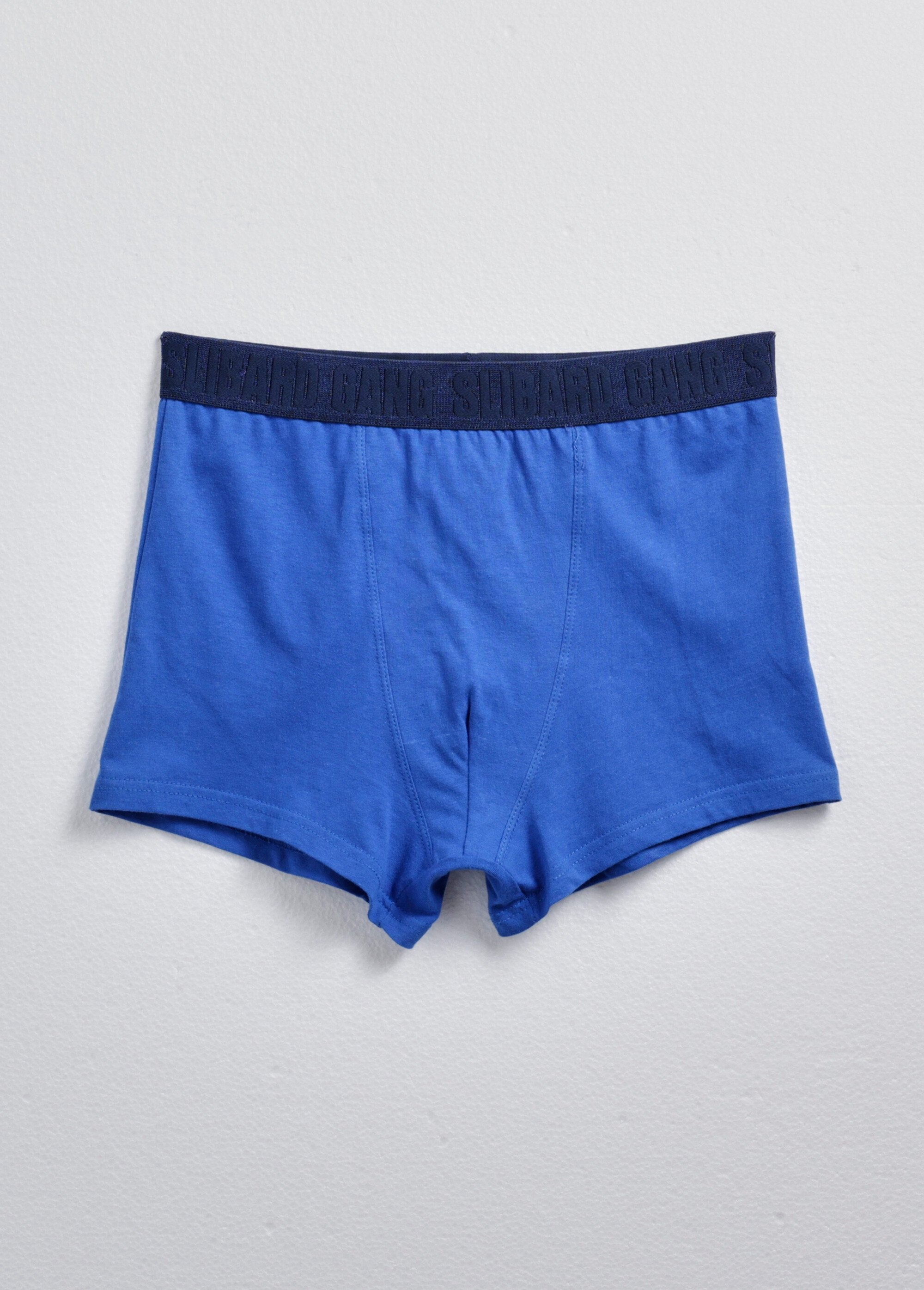 Boxer_da_uomo_a_tinta_unita_e_stampati_assortiti_Assortis_bleu_DE1_slim
