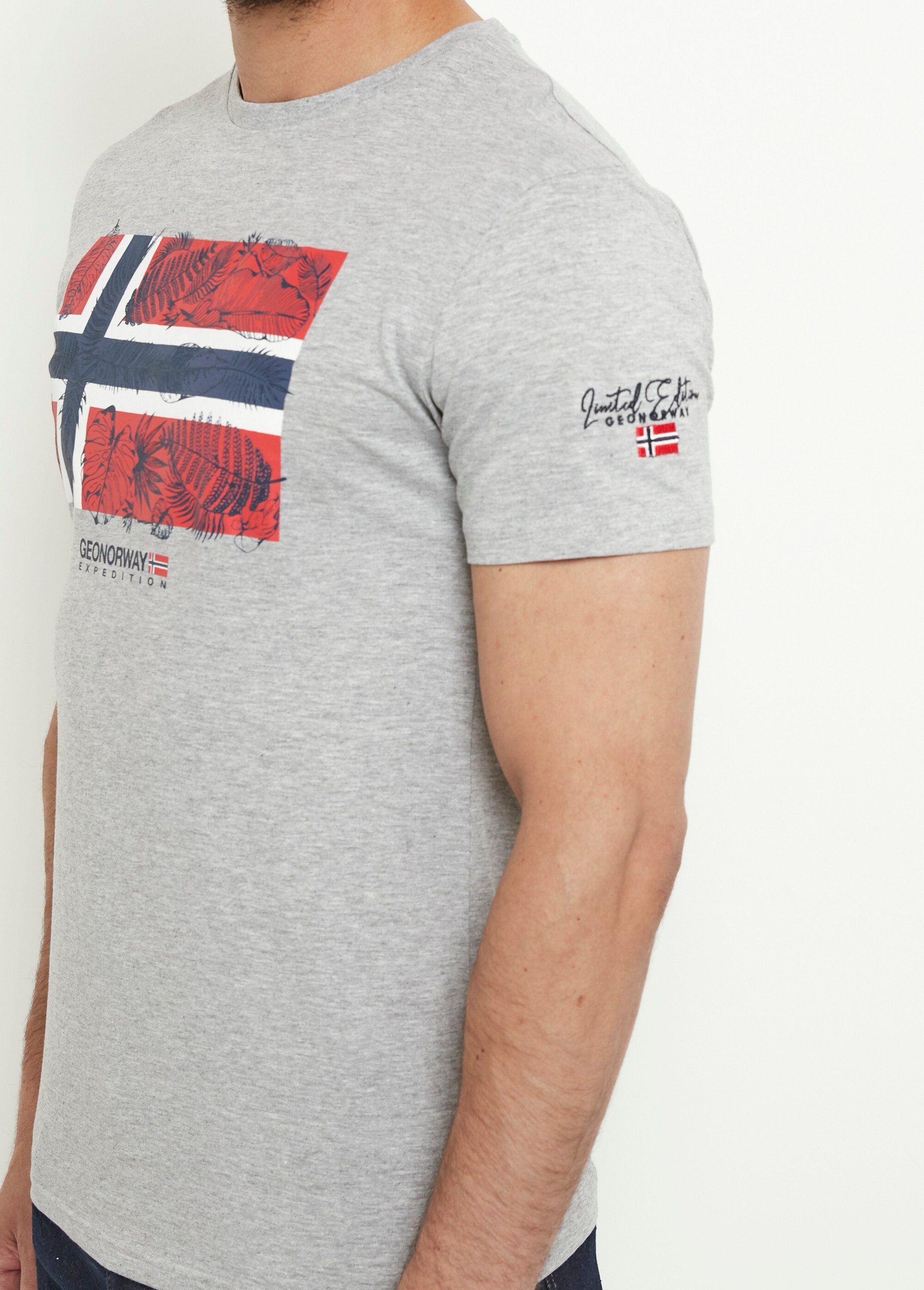 T-shirt_girocollo_con_bandiera_esotica_Gris_DE1_slim